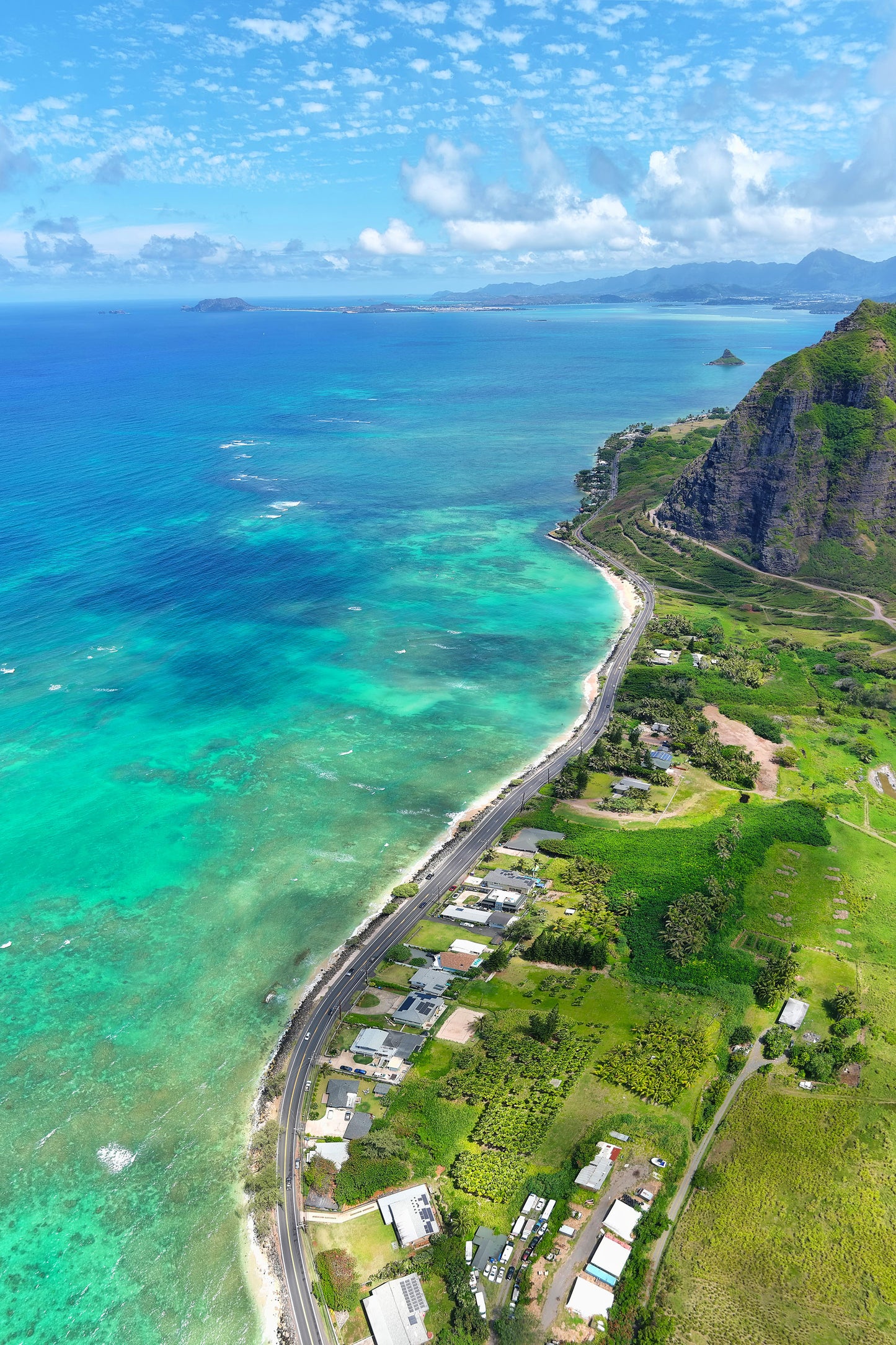 KAMEHAMEHA HIGHWAY #1