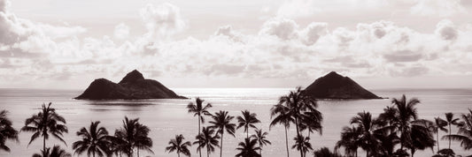 8"x24"- MINI-PANO OF SEPIA PALMS + MOKULUAS