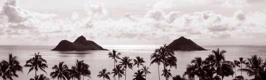 SEPIA PALMS AND MOKULUAS