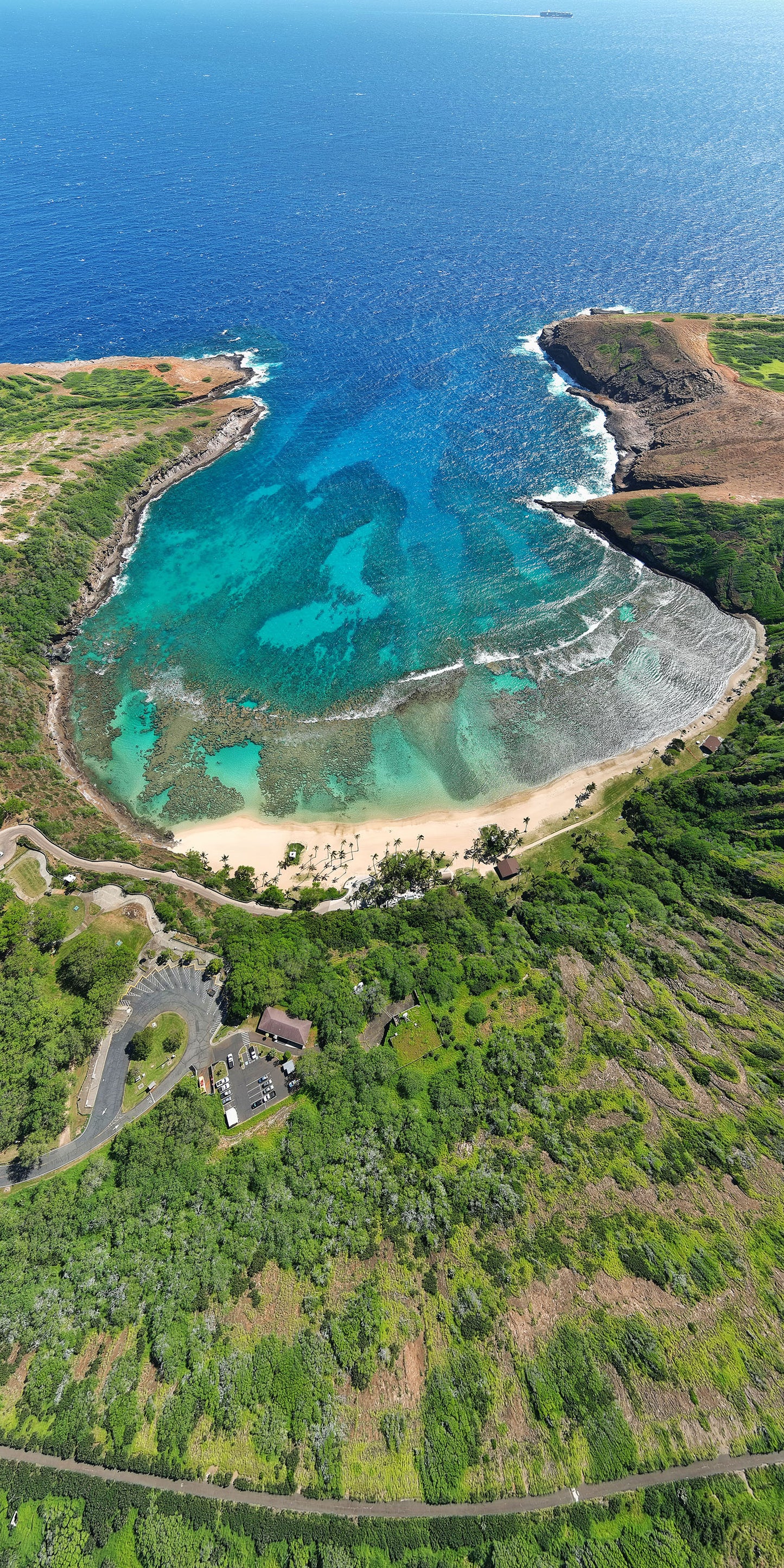 HANAUMA BAY VERTICAL